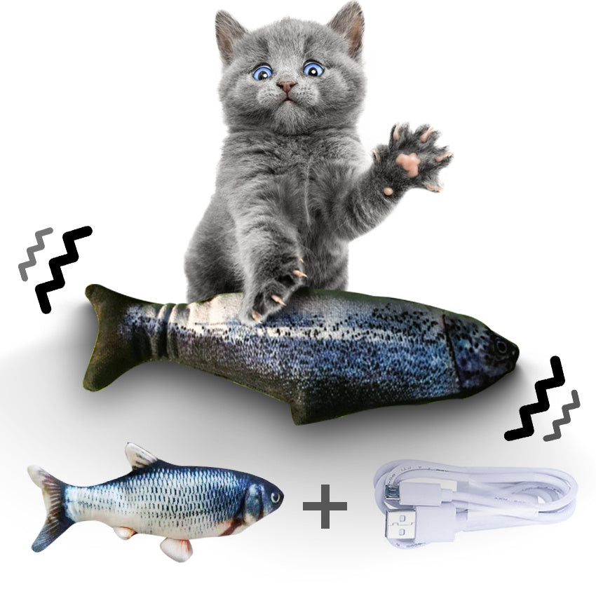 Poisson Sauteur pour Chat