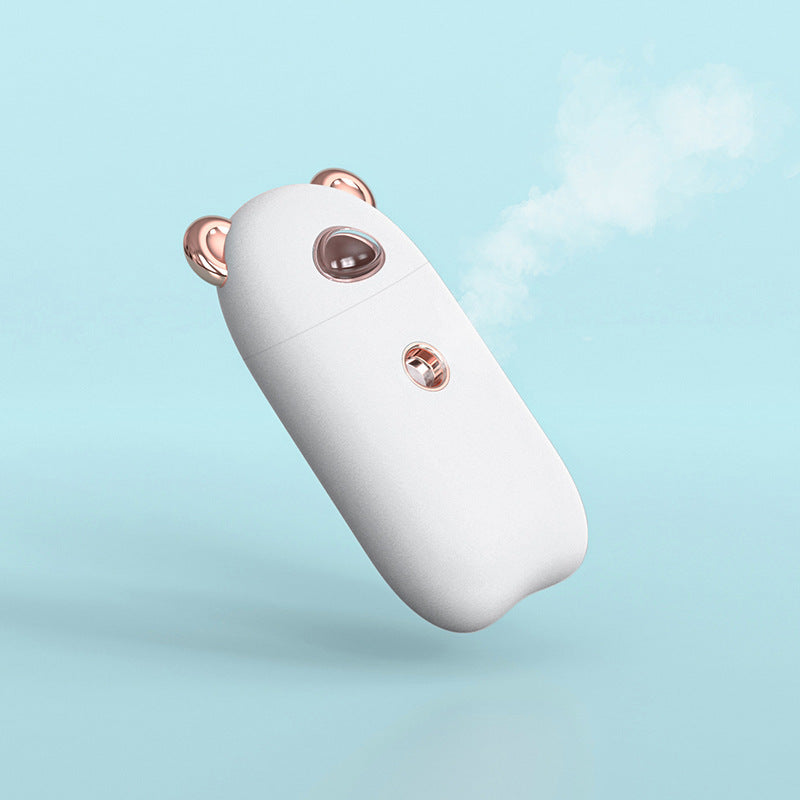 Humidificateur de Mains et Vapeur pour le Visage